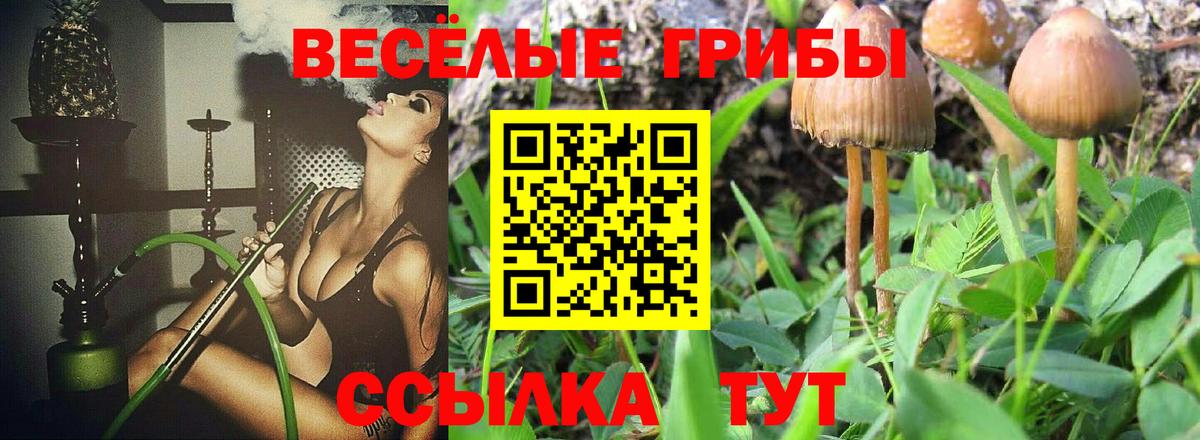 Галлюциногенные грибы мухоморы Вышний Волочёк